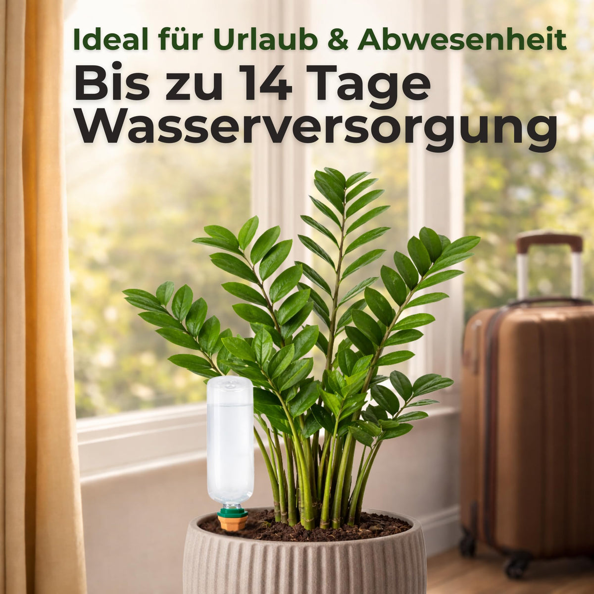 Tonkegel-Bewässerungsset, 4 Stück