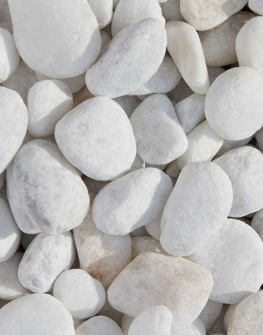 Zierkies