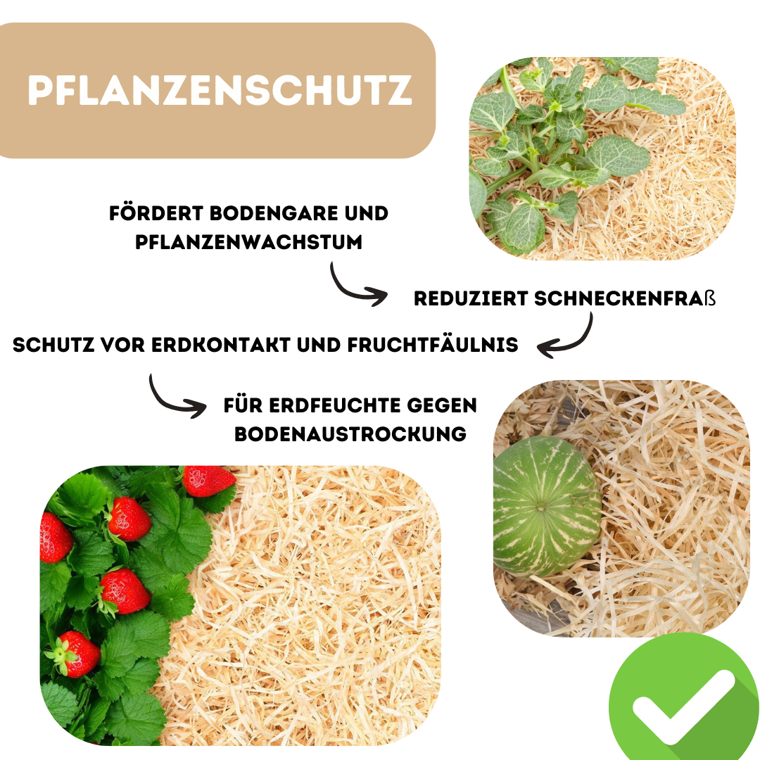 1-20 Kilogramm (Kg) Holzwolle | Natur | Erdbeerholzwolle | In Deutschland hergestellt | Ideal als Füllmaterial oder zur Dekoration | Unbehandelt