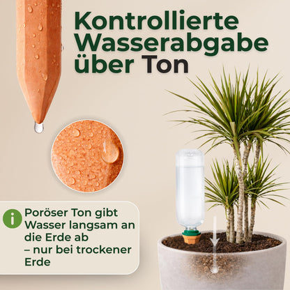 Tonkegel-Bewässerungsset, 4 Stück