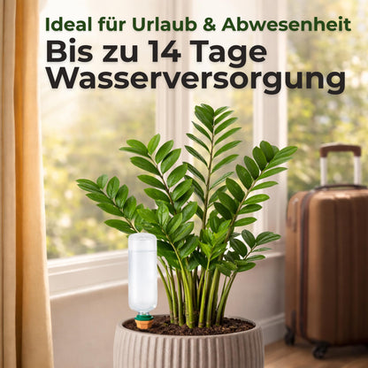 Tonkegel-Bewässerungsset, 4 Stück