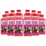 AmbiClean Flüssig-Entkalker für Kaffeevollautomaten etc. - 12x250 ml | 3000 ml - Ambideluxe GmbH