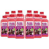 AmbiClean Flüssig-Entkalker für Kaffeevollautomaten etc. - 12x250 ml | 3000 ml - Ambideluxe GmbH